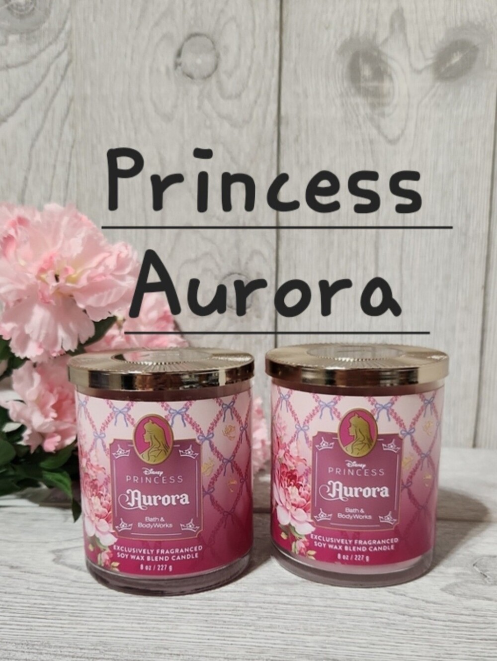 Bath & Body Works Aurora 8oz Single Wick Candles X2